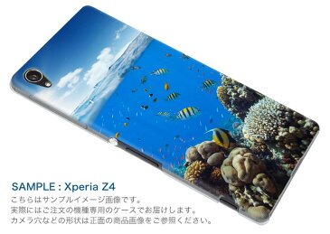 SC-04J Galaxy Feel ギャラクシー フィール sc04j docomo ドコモ スマホ カバー スマホケース スマホカバー PC ハードケース 海　魚　写真 010920