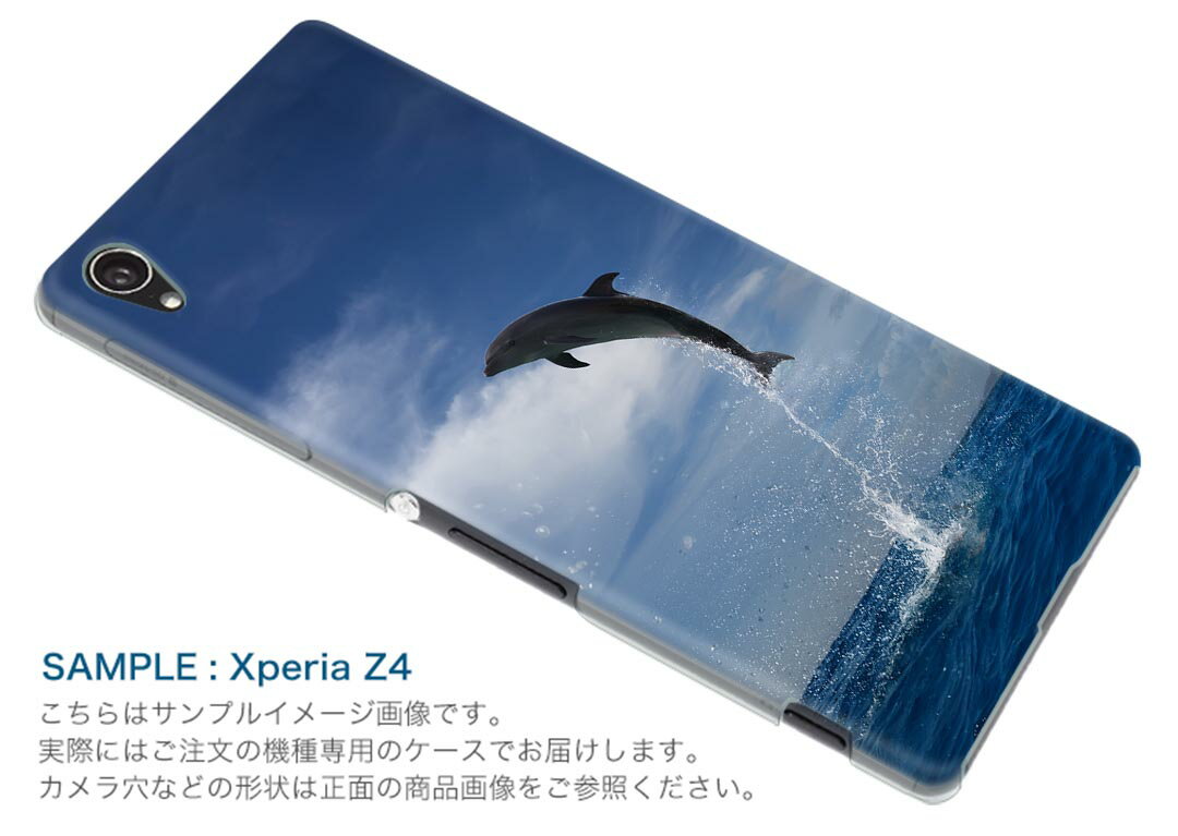 SOV35 Xperia XZs エクスペリア XZs au エーユー スマホ カバー スマホケース ハード pc ケース ハードケース 海 イルカ 写真 010965