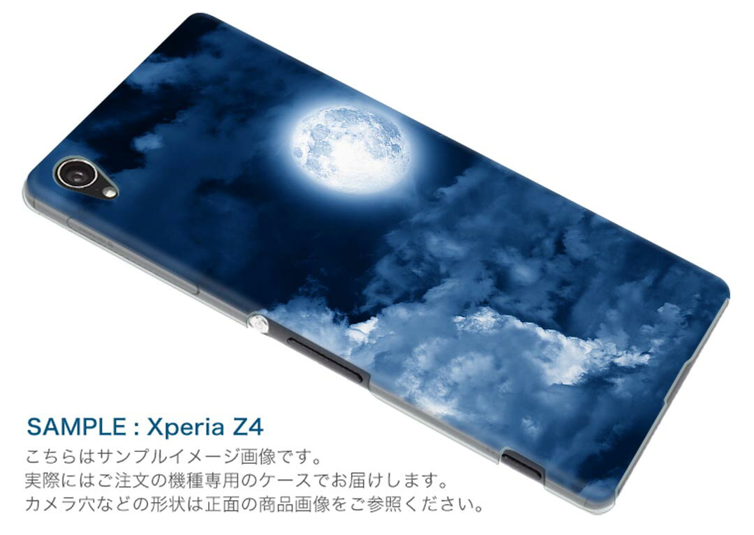 スマコレのRakuten BIG s 楽天モバイル 新型スマホ スマホ カバー ケース スマホケース スマホカバー PC ハードケース 011707 月　空　夜｜アングル2