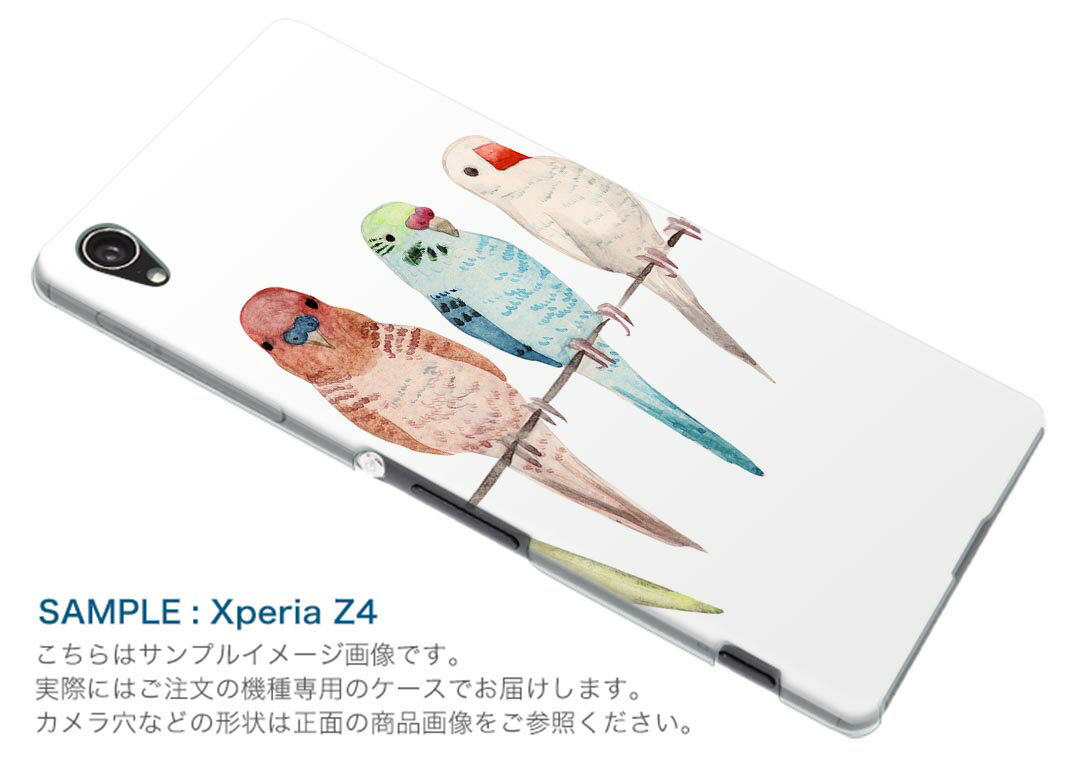 801SO Xperia XZ3 エクスペリア エックスゼットスリー 801so softbank スマホ カバー ケース スマホケース スマホカバー PC ハードケース 014042 鳥　インコ　アニマル
