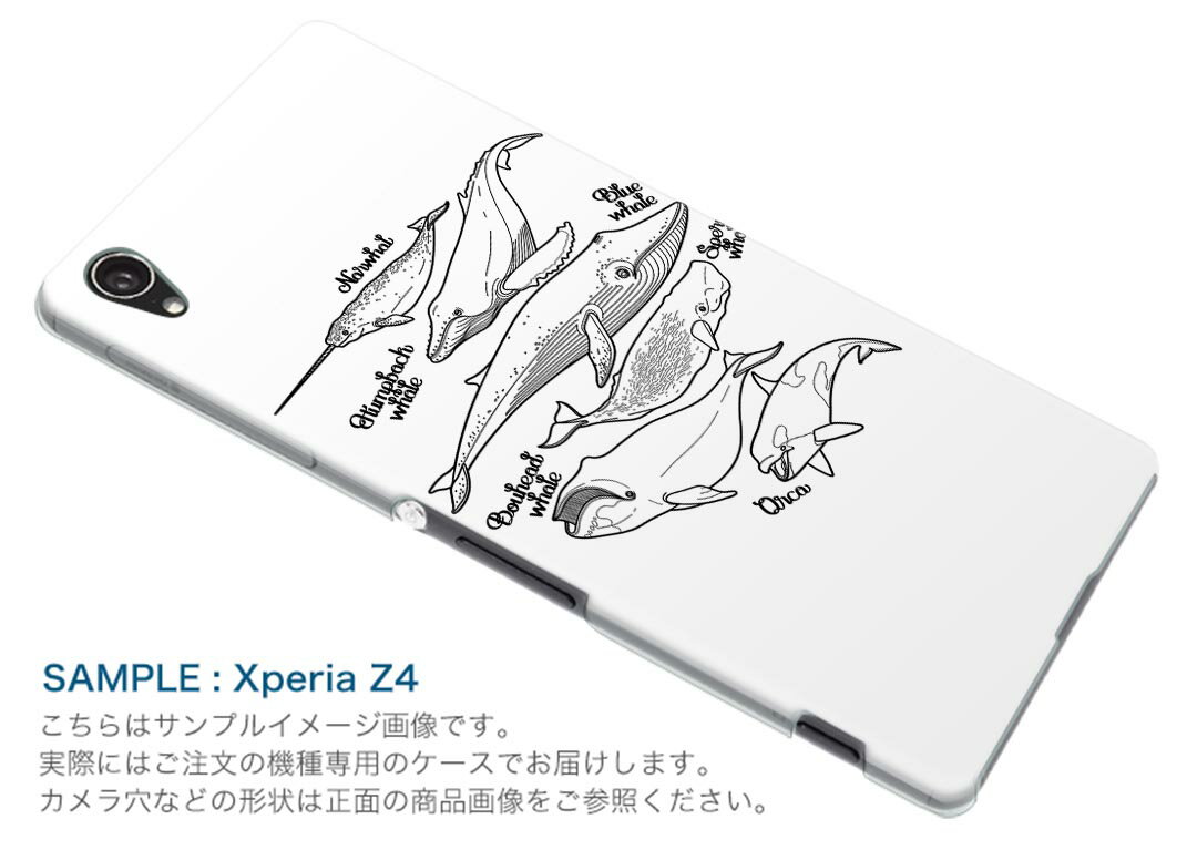 AQUOS R5G SHG01 アクオス アールファイブジー shg01 エーユー au スマホ カバー ケース スマホケース スマホカバー PC ハードケース 016163 魚　モノクロ