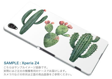 SCV46 Galaxy A20 ギャラクシー エートゥエンティ scv46 au エーユー スマホ カバー ケース スマホケース スマホカバー PC ハードケース 016421 サボテン 植物