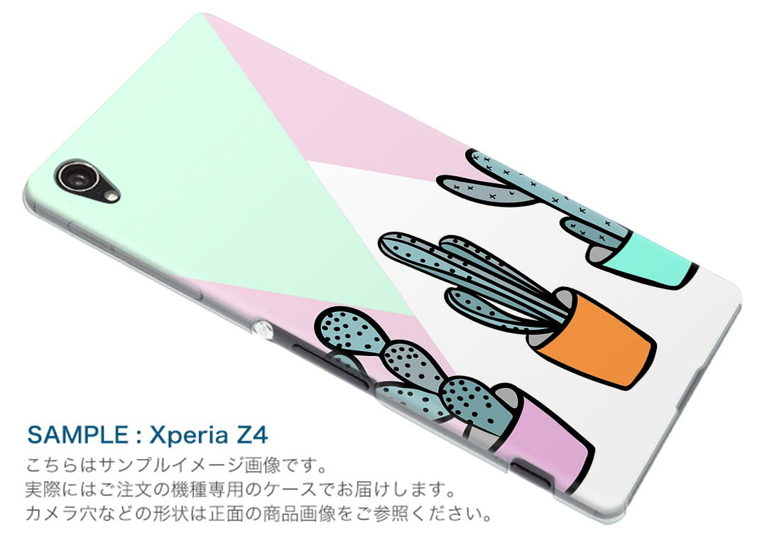 Rakuten BIG s 楽天モバイル 新型スマホ スマホ カバー ケース スマホケース スマホカバー PC ハードケース 016430 サボテン　植物