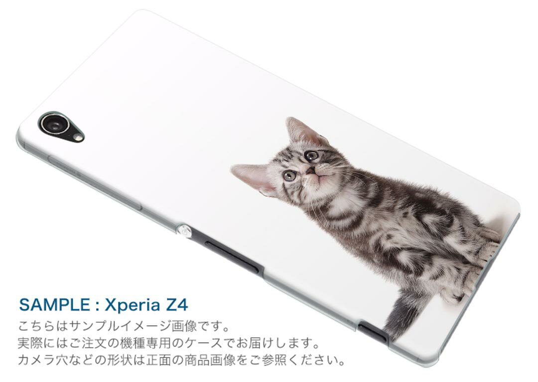 902SO Xperia 5 エクスペリア ファイブ 902so softbank ソフトバンク スマホ カバー 全機種対応 あり ケース スマホケース スマホカバー TPU ソフトケース 001070 猫　アメリカンショートヘア