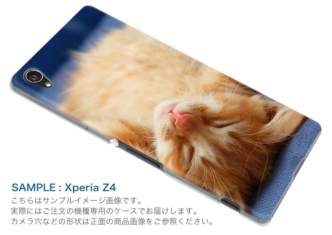 iPhone11 pro max 6.5 インチ 専用 ソフトケース ソフトケース スマホカバー スマホケース ケース カバー tpu 002759 アニマル 猫　動物　写真 2