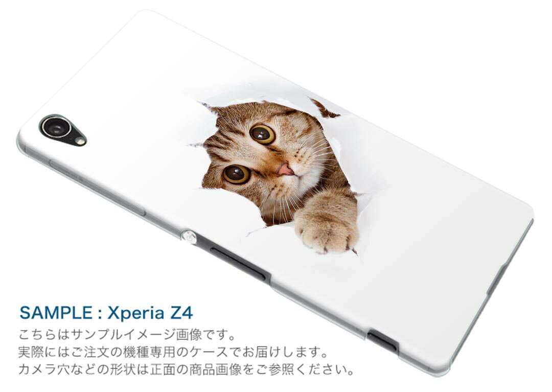 iphone8plus iphone 8 plus アイフォーン softbank ソフトバンク スマホ カバー スマホケース スマホカバー TPU ソフトケース 002783 猫　動物　写真