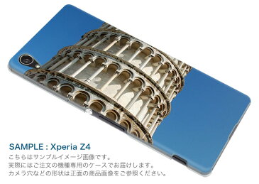 iphone8 iphone 8 softbank ソフトバンク スマホ カバー ケース スマホケース スマホカバー TPU ソフトケース 003299 外国 写真 景色 風景