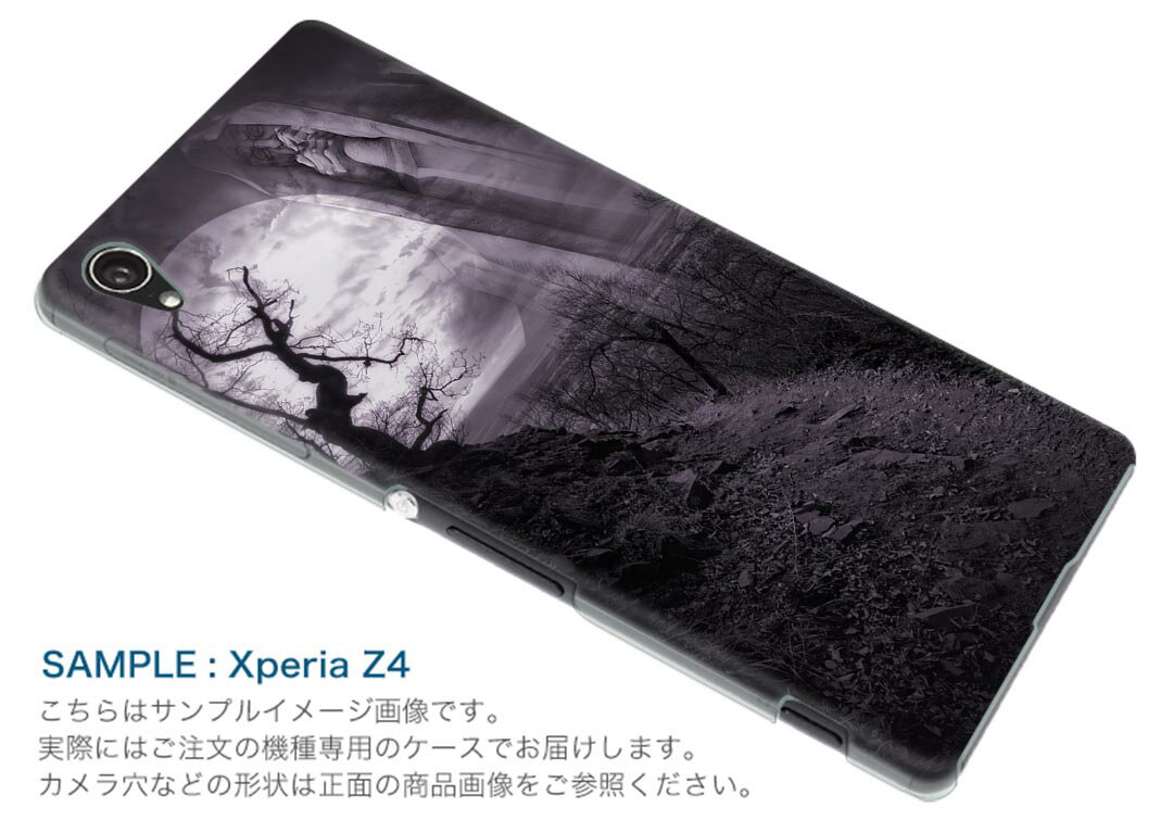 SOV40 Xperia 1 エクスペリア ワン au エーユー sov40 スマホ カバー ケース スマホケース スマホカバー TPU ソフトケース 004903 月　イラスト　夜