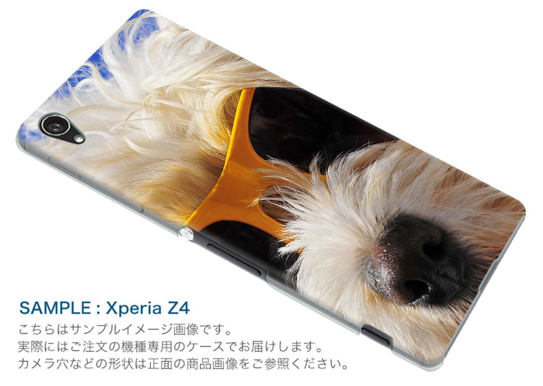 808SH AQUOS R3 アクオス アールスリー 808sh softbank ソフトバンク スマホ カバー ケース スマホケース スマホカバー TPU ソフトケース 006384 写真　動物　犬