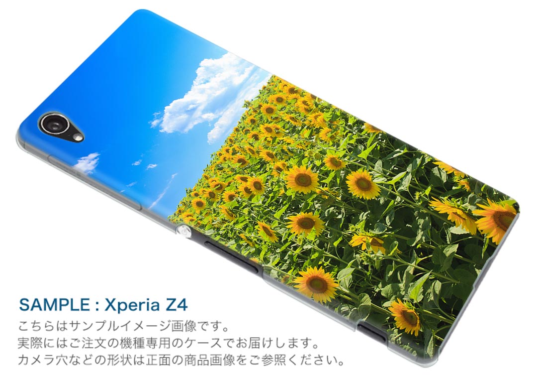 AQUOS zero2 アクオス ゼロツー aquoszero2 ソフトバンク softbank スマホ カバー ケース スマホケース スマホカバー TPU ソフトケース 007936 写真　花　フラワー　向日葵　ひまわり