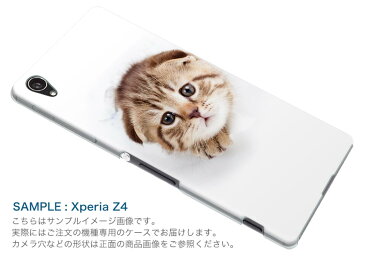 701SO XPERIA　XZ1 エクスペリア　XZ1 701so softbank スマホ カバー ケース スマホケース スマホカバー PC ハードケース 013568 猫　写真　子猫