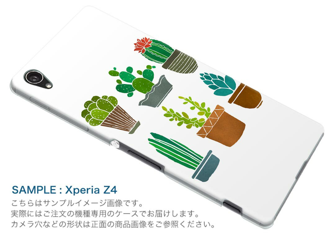 SOV37 Xperia XZ2 エクスペリア エックスゼットツー au エーユー スマホ カバー ケース スマホケース スマホカバー PC ハードケース 016472 サボテン　植物