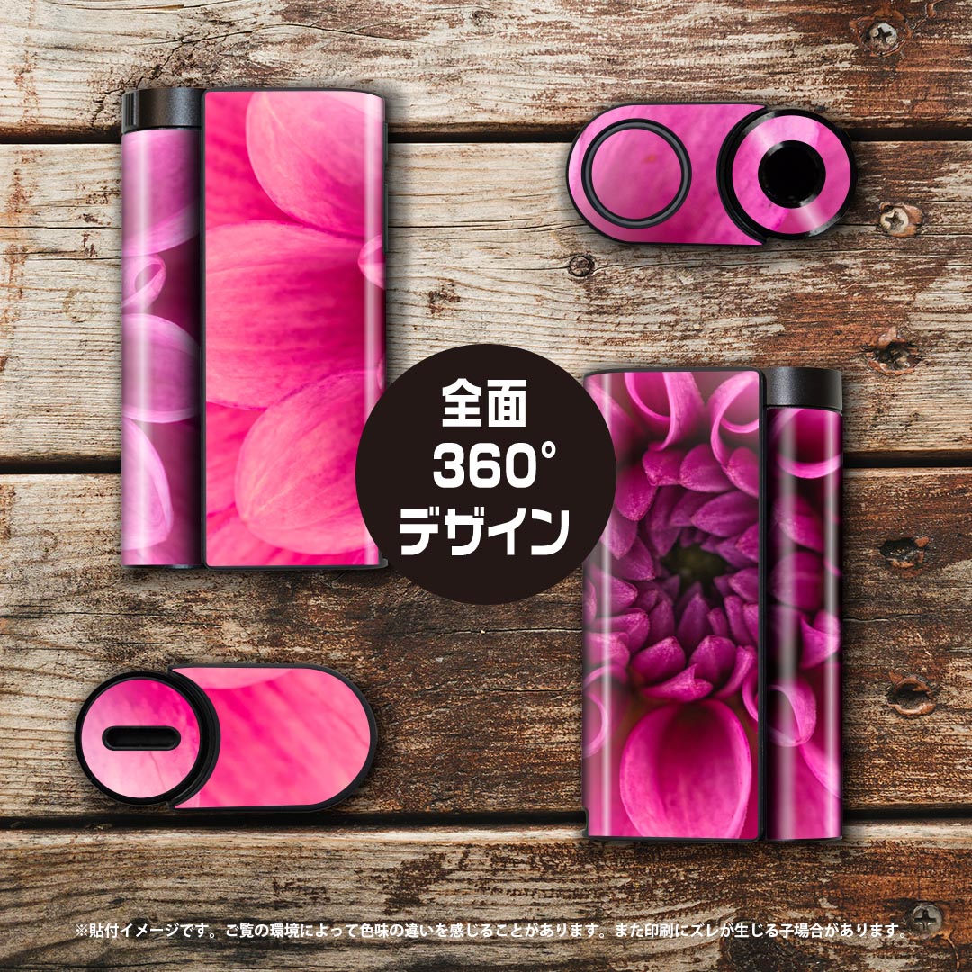 glo hyper x2 ���� �ǥ����󥹥��󥷡��� ���� �ե륻�å� ���С� ������ �ݸ� ������ ������ ���ƥå��� �ǥ� ���������꡼ �ŻҤ��Ф� 023184 �֡��ե�