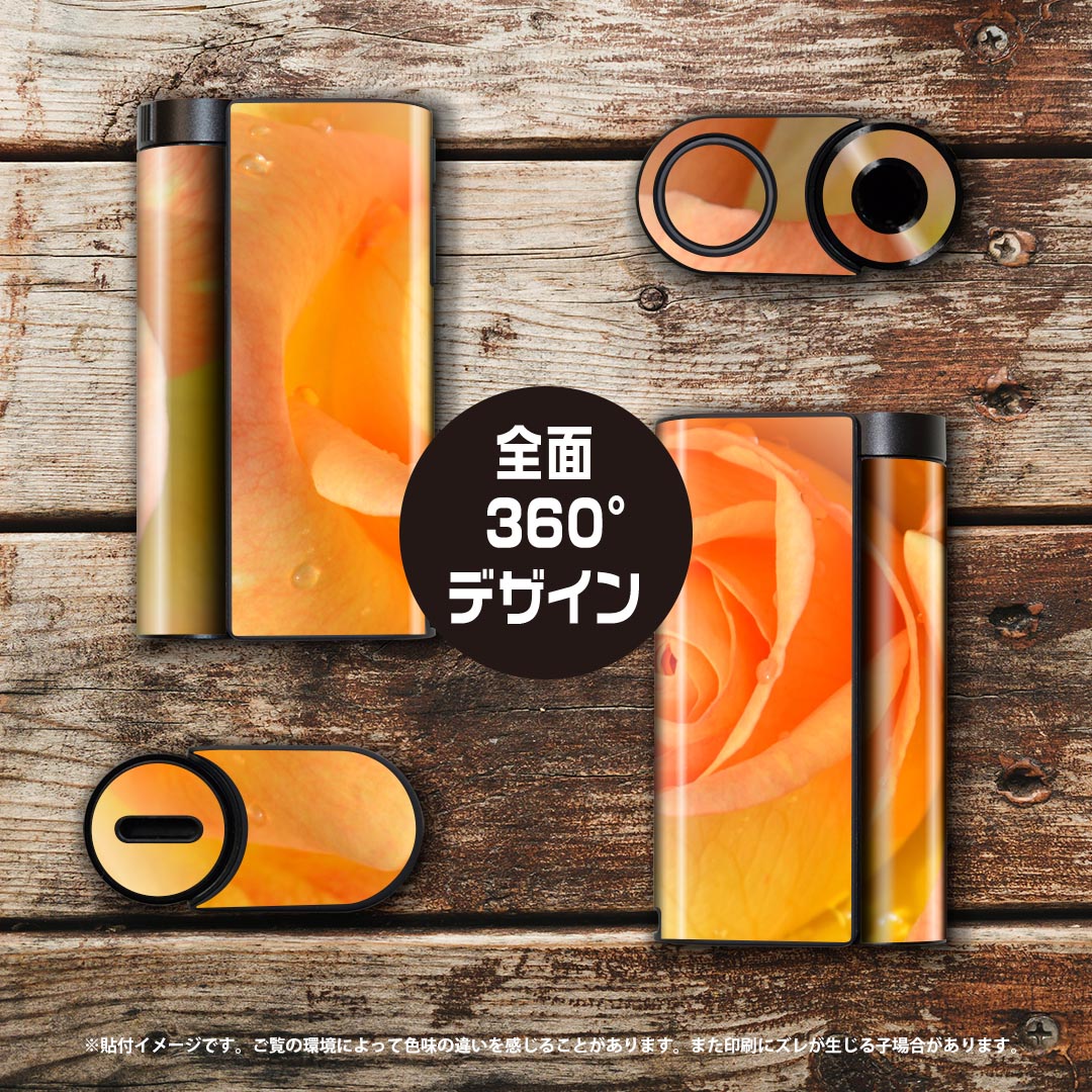 glo hyper x2 ���� �ǥ����󥹥��󥷡��� ���� �ե륻�å� ���С� ������ �ݸ� ������ ������ ���ƥå��� �ǥ� ���������꡼ �ŻҤ��Ф� 023307 �֡��ե����̿�