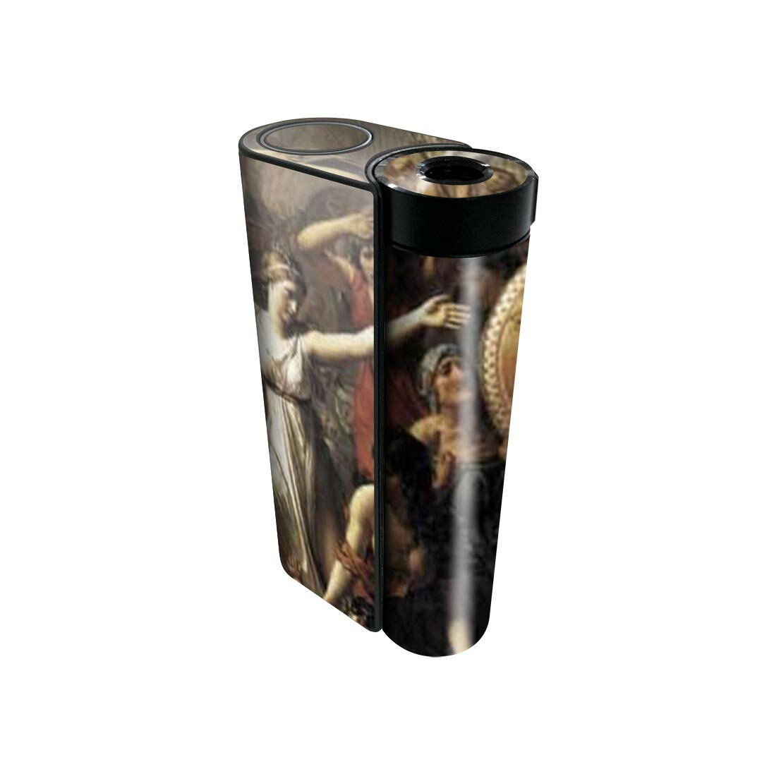 glo hyper x2 専用 デザインスキンシール 全面 フルセット カバー ケース 保護 グロー グロウ ステッカー デコ アクセサリー 電子たばこ 011465 イラスト　人物　絵画