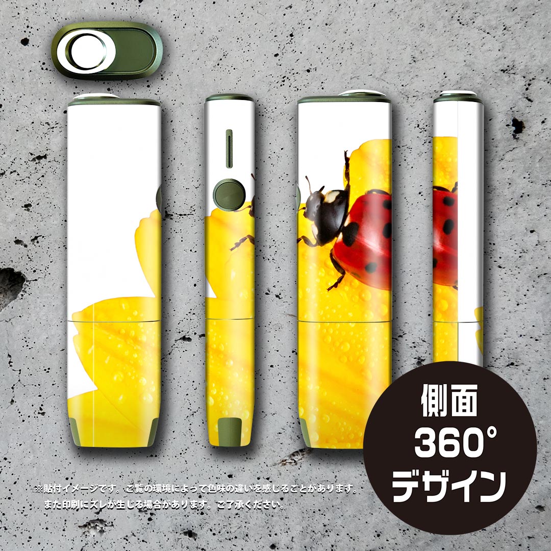 IQOS ILUMA ONE �� �ǥ����󥹥��󥷡��� �������� ����� ��� �б� ������ �����󥷡��� �ե� ���������� �ݸ���� �ǥ������� 001580 �֡��ƥ�ȥ��ॷ���֤Ӥ�