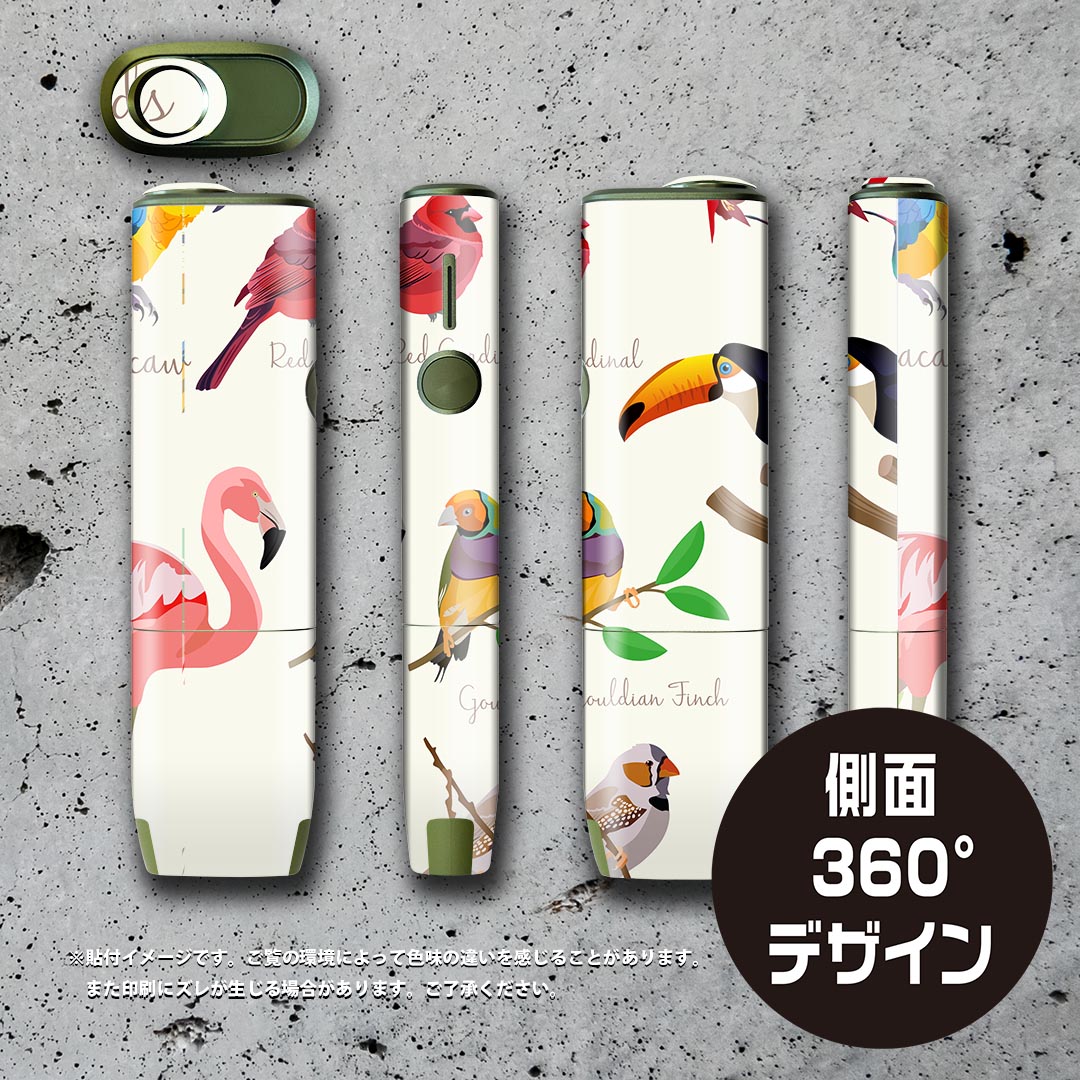 IQOS ILUMA ONE �� �ǥ����󥹥��󥷡��� �������� ����� ��� �б� ������ �����󥷡��� �ե� ���������� �ݸ���� �ǥ������� 014304 Ļ�����˥ޥ롡�ե�ߥ�