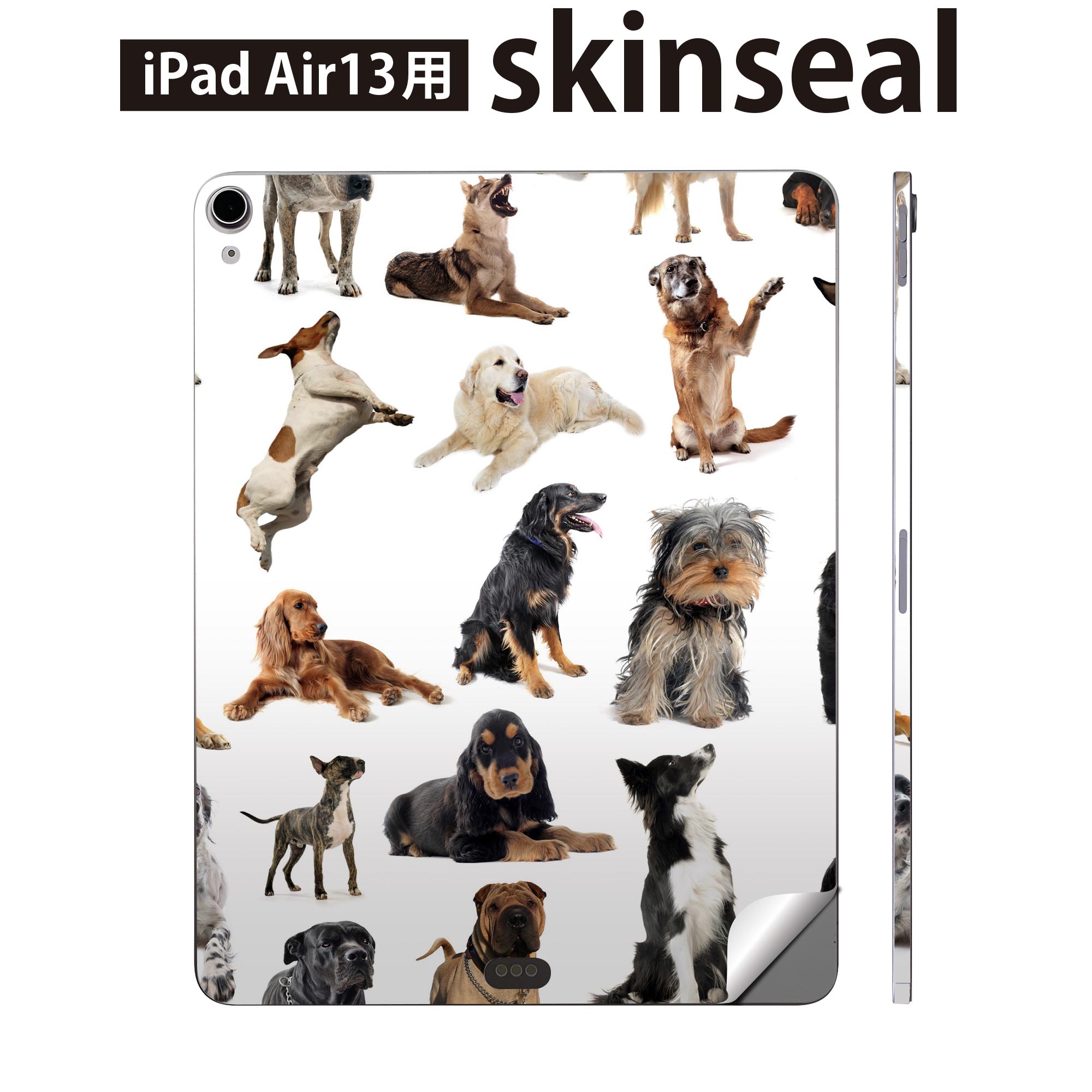 iPad Air13 用 スキンシール アイパッド エア 13インチ 対応 全面スキンシール フル 背面 側面 保護シール 人気 犬 動物 000911