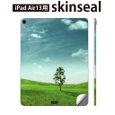 iPad Air13 用 スキンシール アイパッド エア 13インチ 対応 全面スキンシール フル 背面 側面 保護シール 人気 景色 風景 写真 002526(2)