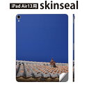 iPad Air13 用 スキンシール アイパッド エア 13インチ 対応 全面スキンシール フル 背面 側面 保護シール 人気 沖縄 シーサー 写真 002774