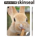 iPad Air13 用 スキンシール アイパッド エア 13インチ 対応 全面スキンシール フル 背面 側面 保護シール 人気 うさぎ 動物 写真 002807