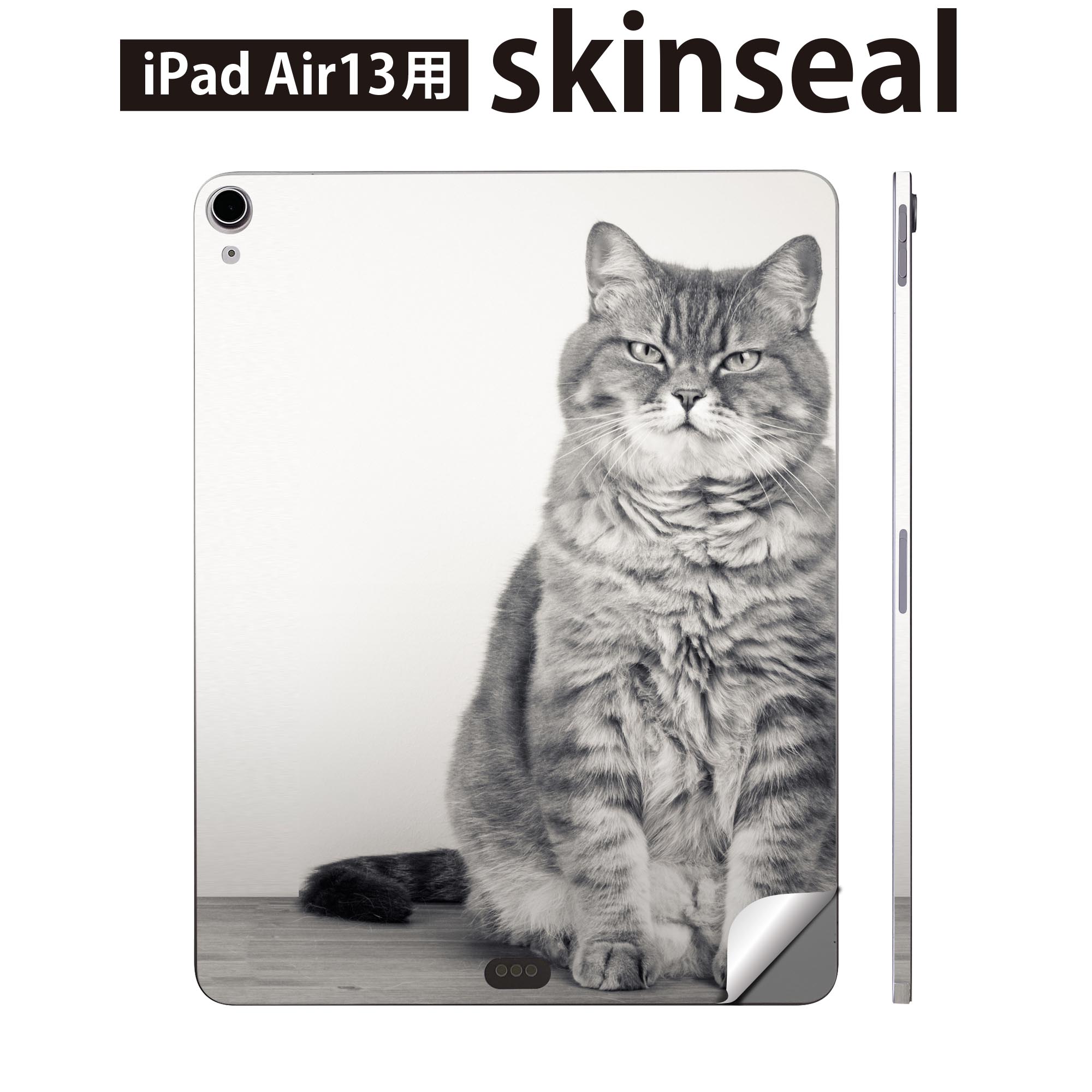 iPad Air13 用 スキンシール アイパッド エア 13インチ 対応 全面スキンシール フル 背面 側面 保護シール 人気 猫 動物 写真 002901