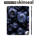 iPad Air13 用 スキンシール アイパッド エア 13インチ 対応 全面スキンシール フル 背面 側面 保護シール 人気 ブルーベリー 食べ物 写真 022995