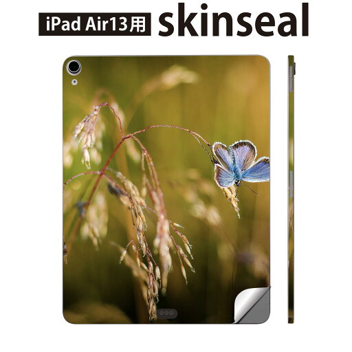 iPad Air13 用 スキンシール アイパッド エア 13インチ 対応 全面スキンシール フル 背面 側面 保護シール 人気 蝶々 自然 景色 023045 iPad Air13 用 スキンシール アイパッド エア 13インチ 対応 全面スキンシール フル 背面 側面 保護シール 人気 蝶々 自然 景色 023045