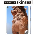 iPad Air13 用 スキンシール アイパッド エア 13インチ 対応 全面スキンシール フル 背面 側面 保護シール 人気 シーサー 沖縄 写真 004542