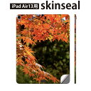 iPad Air13 用 スキンシール アイパッド エア 13インチ 対応 全面スキンシール フル 背面 側面 保護シール 人気 紅葉 秋 風景 004615