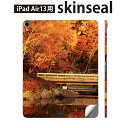 iPad Air13 用 スキンシール アイパッド エア 13インチ 対応 全面スキンシール フル 背面 側面 保護シール 人気 紅葉 秋 景色 005203