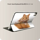 Smart Keyboard Folio 用 スキンシール 11インチ iPad Pro用 第1-4世代 iPad Air 第4-5世代 対応 全面スキンシール フル 前面 背面 保護シール 人気 001075 ハムスター　動物