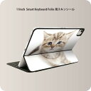 Smart Keyboard Folio 用 スキンシール 11インチ iPad Pro用 第1-4世代 iPad Air 第4-5世代 対応 全面スキンシール フル 前面 背面 保護シール 人気 001194 ネコ　動物