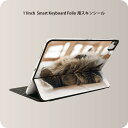 Smart Keyboard Folio 用 スキンシール 11インチ iPad Pro用 第1-4世代 iPad Air 第4-5世代 対応 全面スキンシール フル 前面 背面 保護シール 人気 002601 猫 動物 写真(2)