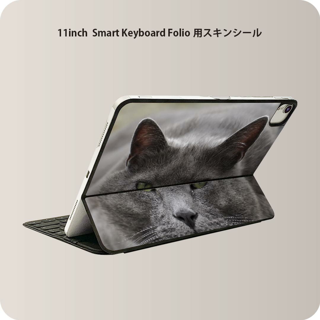 Smart Keyboard Folio 用 スキンシール 11インチ iPad Pro用 第1-4世代 iPad Air 第4-5世代 対応 全面スキンシール フル 前面 背面 保護シール 人気 002650 猫　動物　写真