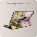 Smart Keyboard Folio 用 スキンシール 11インチ iPad Pro用 第1-4世代 iPad Air 第4-5世代 対応 全面スキンシール...