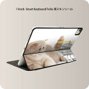 Smart Keyboard Folio 用 スキンシール 11インチ iPad Pro用 第1-4世代 iPad Air 第4-5世代 対応 全面スキンシール フル 前面 背面 保護シール 人気 002908 猫 動物 写真(2)