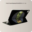 Smart Keyboard Folio 用 スキンシール 11インチ iPad Pro用 第1-4世代 iPad Air 第4-5世代 対応 全面スキンシール フル 前面 背面 保護シール 人気 003541 写真　風景　景色