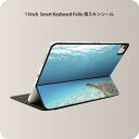 Smart Keyboard Folio 用 スキンシール 11インチ iPad Pro用 第1-4世代 iPad Air 第4-5世代 対応 全面スキンシール フル 前面 背面 保護シール 人気 004605 ウミガメ　海　写真