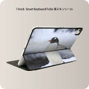 Smart Keyboard Folio 用 スキンシール 11インチ iPad Pro用 第1-4世代 iPad Air 第4-5世代 対応 全面スキンシール フル 前面 背面 保護シール 人気 004679 動物　ペンギン　写真