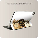 Smart Keyboard Folio 用 スキンシール 11インチ iPad Pro用 第1-4世代 iPad Air 第4-5世代 対応 全面スキンシール フル 前面 背面 保護シール 人気 005734 犬 動物 イラスト(2)