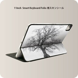 Smart Keyboard Folio 用 スキンシール 11インチ iPad Pro用 第1-4世代 iPad Air 第4-5世代 対応 全面スキンシール フル 前面 背面 保護シール 人気 006011 イラスト　植物　木