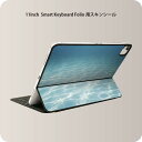 Smart Keyboard Folio 用 スキンシール 11インチ iPad Pro用 第1-4世代 iPad Air 第4-5世代 対応 全面スキンシール フル 前面 背面 保護シール 人気 006566 写真　海