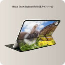 Smart Keyboard Folio 用 スキンシール 11インチ iPad Pro用 第1-4世代 iPad Air 第4-5世代 対応 全面スキンシール フル 前面 背面 保護シール 人気 006581 写真　うさぎ　動物