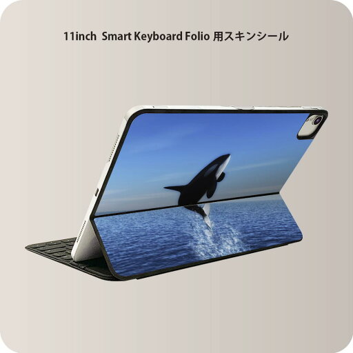 Smart Keyboard Folio 用 スキンシール 11インチ iPad Pro用 第1-4世代 iPad Air 第4-5世代 対応 全面スキンシール フル 前面 背面 保護シール 人気 010806 シャチ 生き物 海 Smart Keyboard Folio 用 スキンシール 11インチ iPad Pro用 第1-4世代 iPad Air 第4-5世代 対応 全面スキンシール フル 前面 背面 保護シール 人気 010806 シャチ 生き物 海
