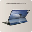 Smart Keyboard Folio 用 スキンシール 11インチ iPad Pro用 第1-4世代 iPad Air 第4-5世代 対応 全面スキンシール フル 前面 背面 保護シール 人気 010965 海　イルカ　写真