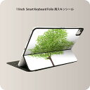 Smart Keyboard Folio 用 スキンシール 11インチ iPad Pro用 第1-4世代 iPad Air 第4-5世代 対応 全面スキンシール フル 前面 背面 保護シール 人気 015657 木　樹木　自然　植物