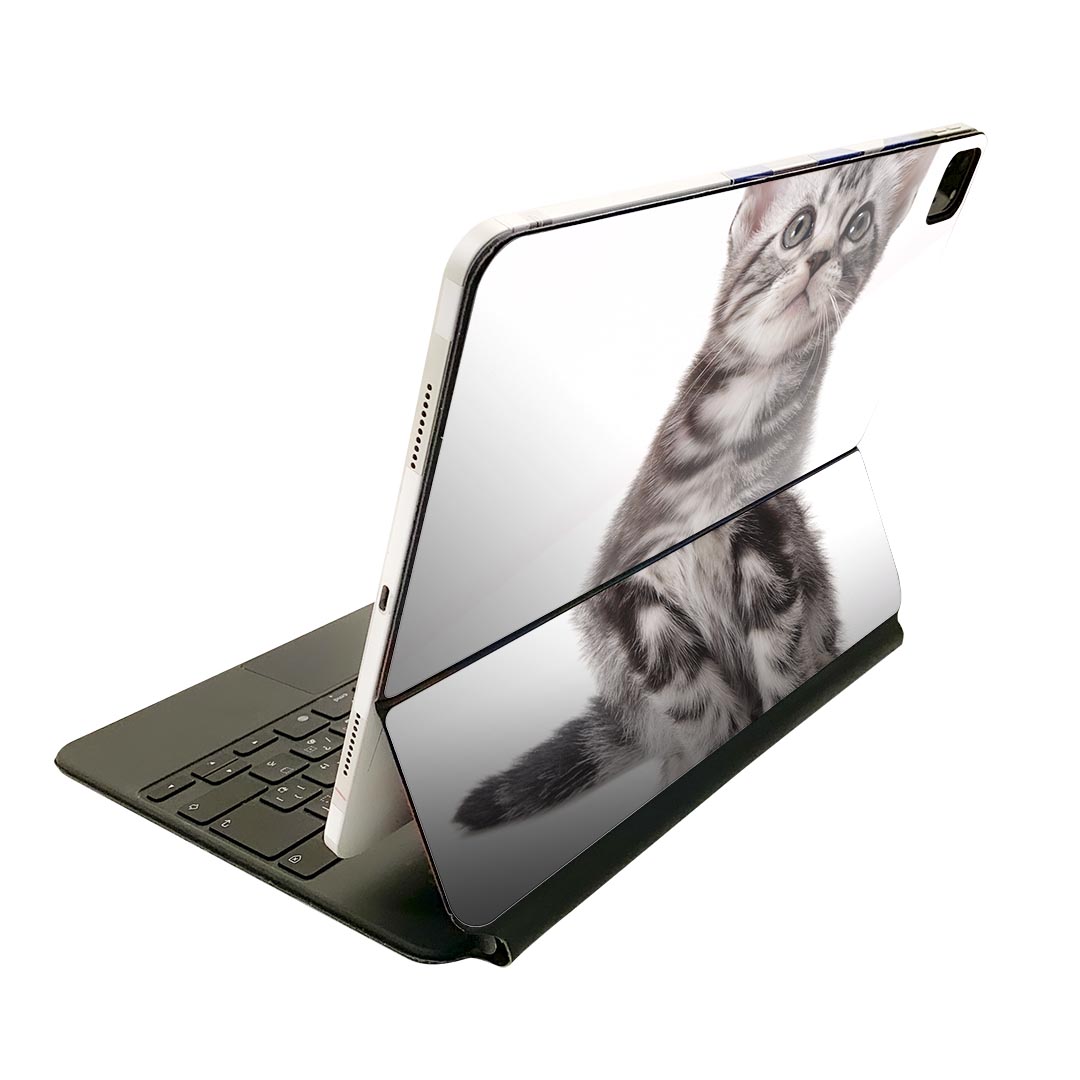 Magic Keyboard 用 スキンシール 11インチ iPad Pro用 第1-4世代 iPad Air 第4-5世代 対応 全面スキンシール フル 前面 背面 保護シール 人気 001070 猫　アメリカンショートヘア