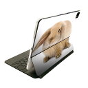 Magic Keyboard 用 スキンシール 11インチ iPad Pro用 第1-4世代 iPad Air 第4-5世代 対応 全面スキンシール フル 前面 背面 保護シール 人気 001112 うさぎ 動物