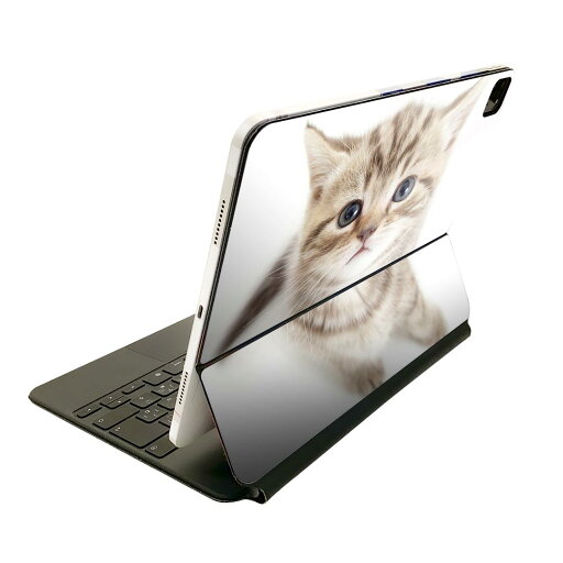 Magic Keyboard 12.9インチ iPad Pro(第4世代、第5世代、第6世代)対応 apple アップル アイパッド 全面スキンシール フル 前面 背面 保護シール 人気 ネコ 動物 001194 Magic Keyboard 12.9インチ iPad Pro(第4世代、第5世代、第6世代)対応 apple アップル アイパッド 全面スキンシール フル 前面 背面 保護シール 人気 ネコ 動物 001194